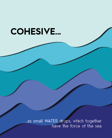 Cohesion